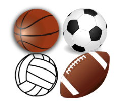 Sports Fee