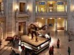 PreK-5th Graders | Museum of Natural History