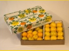 Navel | Grapefruit Mix - 20 lb Box (1 Size)