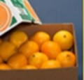 Navel Oranges - 10 lb Box