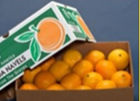 Navel Oranges - 20 lb Box