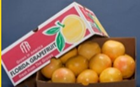 Red Grapefruit - 20 lb Box